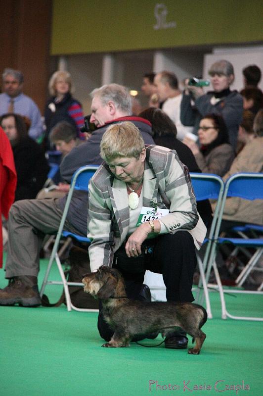 Crufts2011_2 842.jpg